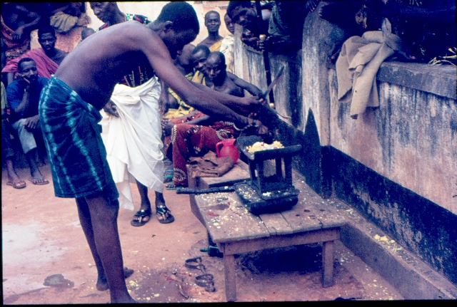 Le si�ge des ancetres