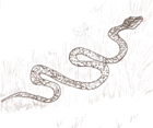 Le Serpent bienfaiteur
