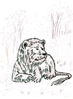 Il Leone, re della foresta