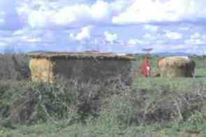 La manyatta, l'abitazione samburu